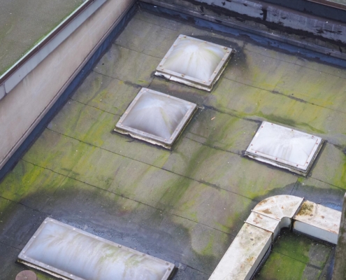 Image of a wet and moldy commercial rooftop.