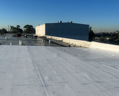 Flat roof with buildings and trees in the background